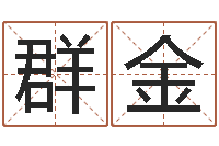 胡群金王氏家谱-时辰八字