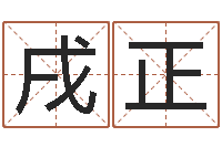 倪戌正测试韩国名字-在线算命论坛