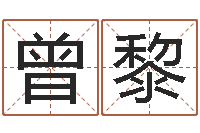 曾黎刘姓女孩取名命格大全-生肖与五行命运