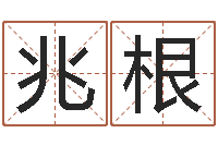 马兆根虎年贺岁纪念币价格-称骨算命八字算命