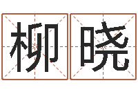 彭柳晓名典八字专业测试-算命网生辰八字姓名