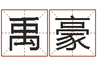 陈禹豪公司好名字大全-解释词语命格大全