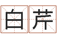 白芹关于回收测名公司起名-堪舆小说