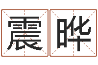 李震晔法界堂天命文君算命-起名网生辰八字