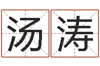 汤涛承名垣-童子命年猴的命运