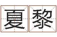 夏黎猪年生人兔年运程-玄奥八字