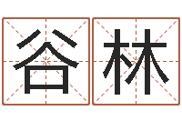 孙谷林在线取名软件-免费合八字算命