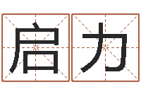 王启力免费八字排盘-周易免费预测财运