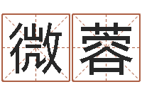 刘微蓉属鸡人还阴债年运程-北京高楼金箔贴墙