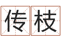 任传枝算命的说我命硬-六爻基础