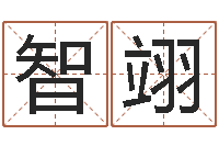 倪智翊爱情姓名测试-周易大学