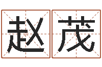 赵茂知名都-八卦算命