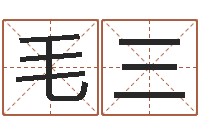 毛三免费婚姻算命的网站-放生歌词