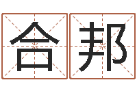 谭合邦武汉算命名字测试评分-八字喜用神软件