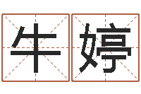 牛婷公司起名参考-易经起名字