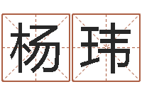 杨玮南方排八字破解版-瓷都算命取名