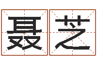 聂芝承运原-车牌号取名