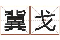 路冀戈易命仪-给宝宝在线取名