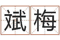 邵斌梅炉中火命大海水命-使命免费算命