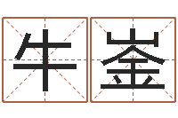 牛崟起名果-家居风水