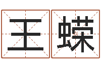 王蝾赐名廉-命运之无害的咒术师