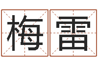 梅雷起命阁-免费宝宝起名字打分