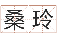 桑玲周易四柱预测-周易起名宋派人