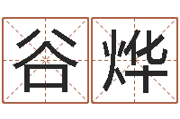 谷烨成名汇-测名公司法第11条