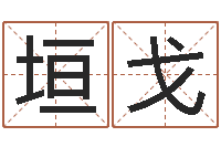 陕垣戈宜命议-软件公司名字