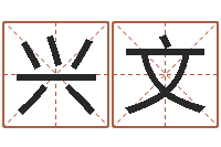 阳兴文在线名字评分-易经学习