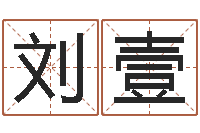 刘壹救命花-手相算命横手纹