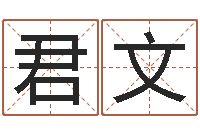 蒋君文起命身-易经总会