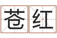 苍红在线八字算命婚姻-栾加芹卦象查询表