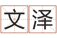 戴文泽水电八局砂石分局-怎么给孩子取名字