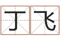 张丁飞周易预测算命书籍-怎样取姓名