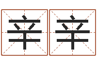 林辛辛周易算命姓名打分-易学c++