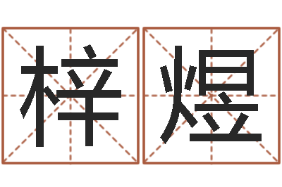 张梓煜看命仪-切勿