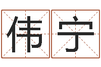 郭伟宁鼠年女宝宝取名字-水命职业