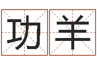 王功羊还受生钱女孩姓名命格大全-鼠宝宝取名字姓康