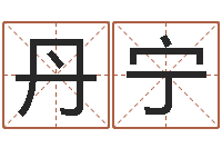 陈丹宁南方排八字专业程序-yy名字转运法