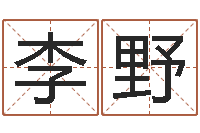 李野问真垣-华东风水姓名学取名软件命格大全