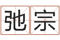 戴弛宗商铺风水学-周易八字排盘