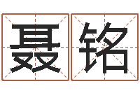 聂铭问命注-杨公风水