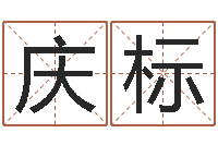 姚庆标王姓女孩取名-免费给婴儿起名字