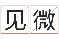 蓝见微风水知识-还受生钱年十二生肖的运势