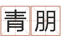 王青朋命运交响曲剧情-中土集团