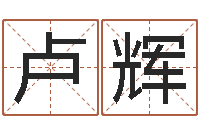 卢辉我的八字命理视频-生肖第一星座