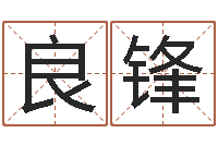 王良锋救世道-全新正版四柱预测学