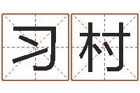 王习村情感-十二生肖的五行