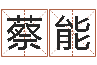 蔡能易圣看-公司的英文名字